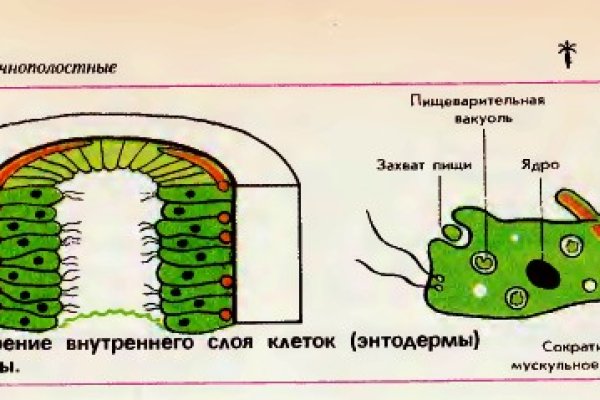 Http blacksprut com зеркало bs2web top