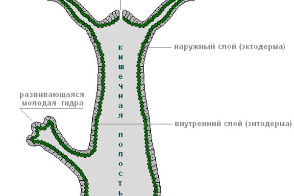 Блэк спрут маркетплейс