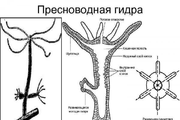 Блэкспрут рабочая ссылка